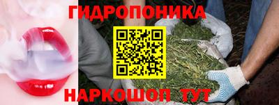 метадон Камышлов