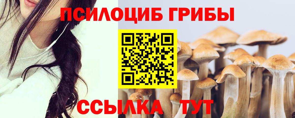 Галлюциногенные грибы Psilocybine cubensis Геленджик